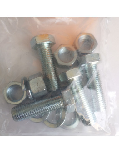 1 x Pussi 4 Metalliruuvit Kuusiopää TH M16X50 4...