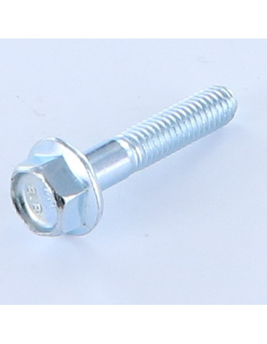 1 x Metalliruuvit Kuusiopää TH M6X30...