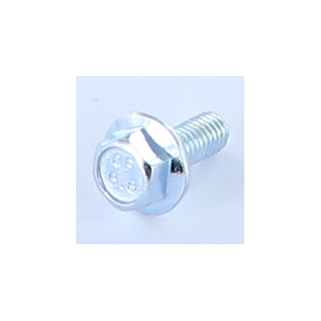 1 x Metalliruuvit Kuusiopää TH M8X10 Uritettu laippakanta Luokka 8.8 Sinkitty teräs