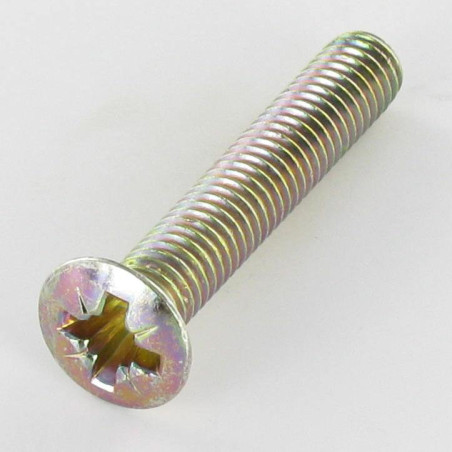 1 x Metalliruuvit Kupumainen uppokanta Pozi M6X35 Dikromattu