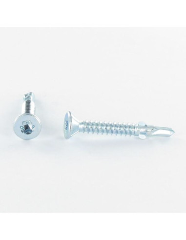 1 x Itseporautuva ruuvi uppokantainen TORX T25...