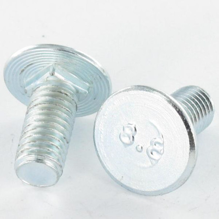 1 x Metalliruuvit litteällä päällä M6X32.5/20 Paksuus Pää 1 Sinkitty teräs