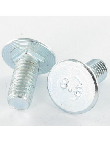 1 x Metalliruuvit litteällä päällä M6X31.5/20...
