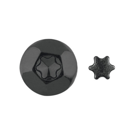 1 x ELEMENTTI TUKEUTUMISENSUOJA TORX T40 Musta sinkitty teräs
