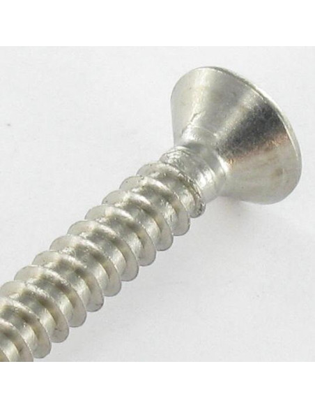 1 x Levyruuvi uppokantainen 4.2X38 TORX T20 Ruostumaton teräs A2