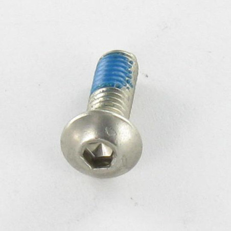 1 x Metalliruuvit Ruostumaton teräs A2 BHC (Bombée Hexagonal creux / kupukantainen kuusiopää) M4X12 5 HC2