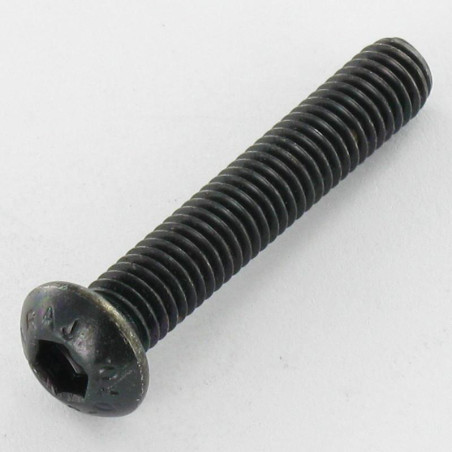 1 x Metalliruuvit Ruostumaton teräs A2 Musta BHC (Bombée Hexagonal creux / kupukantainen kuusiopää) M6X20 Avain 4 HC4