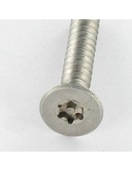 1 x Levyruuvi Väärinkäytöltä suojattu Ruostumaton teräs A2 uppokantainen TORX T25 tapilla 4,8x50