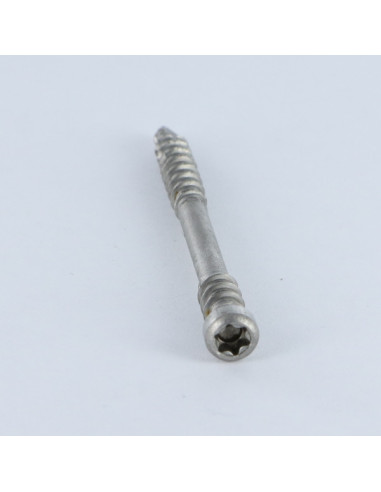1 x Spax Terassiruuvi Lieriöpää TORX T25 5x60...