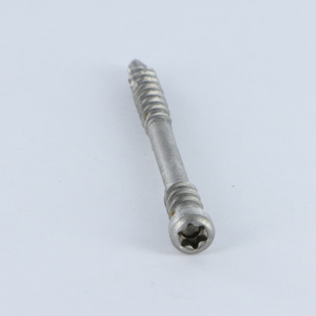 1 x Spax Terassiruuvi Lieriöpää TORX T25 5x60 Ruostumaton teräs A2