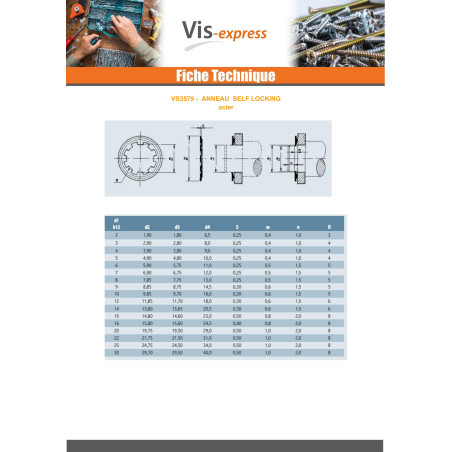 1 x Rengas ITSE LUKITUS Halkaisija 18 Raakateräs