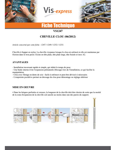 1 x Kiinnitystulppa Naula RAWLPLUG Litteä pää 6x40