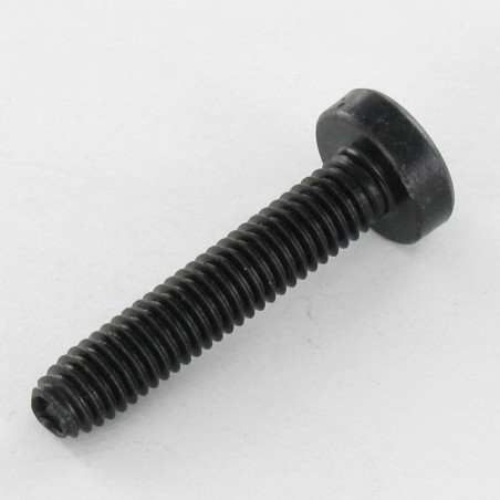 1 x Itsekierteittävä ruuvi leveä kupukantainen M4X8 TORX T20 Musta sinkitty teräs