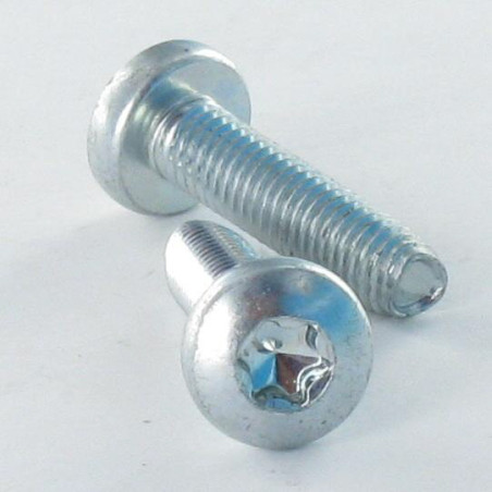 1 x Itsekierteittävä ruuvi leveä kupukantainen M5X10 TORX T25 Sinkitty teräs