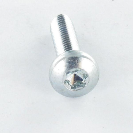 1 x Itsekierteittävä ruuvi leveä kupukantainen M5X16 TORX T25 Sinkitty teräs