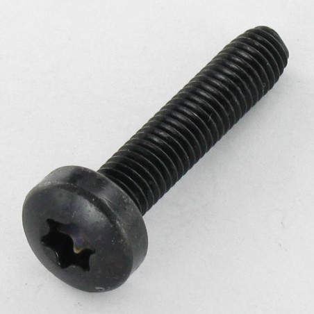 1 x Itsekierteittävä ruuvi leveä kupukantainen M5X16 TORX T25 Musta sinkitty teräs