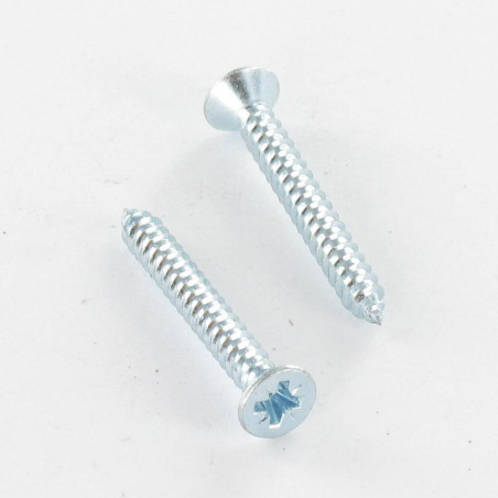 1 x Levyruuvi uppokantainen Pozi 3,9 x 38 Sinkitty teräs