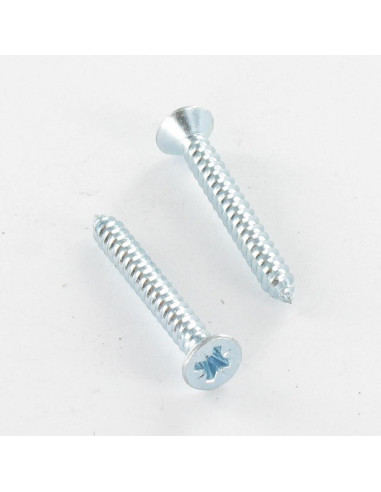 1 x Levyruuvi uppokantainen Pozi 3,9 x 32...