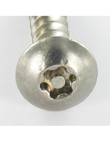 1 x Ruuvi Sarana Väärinkäytöltä suojattu TORX...