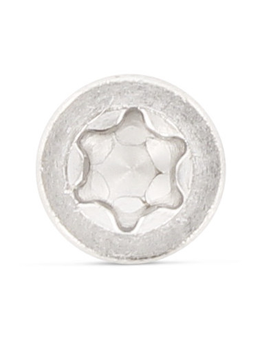 1 x Metalliruuvit Lieriöpää Matala TORX T10...