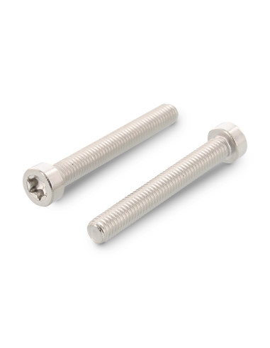 1 x Metalliruuvit Lieriöpää Matala TORX T45...