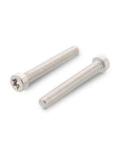 Metalliruuvit Lieriöpää Matala TORX T30 M6X60...