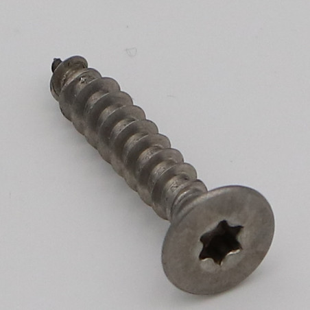 1 x Puuruuvi uppokantainen TORX T25 5x55 Kokonaan kierteytetty Ruostumaton teräs A2