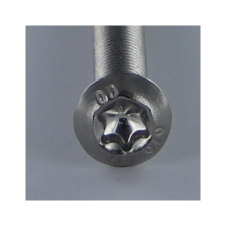 1 x Metalliruuvit Pää Kupumainen TORX T40 M8x50 Kokonaan kierteytetty Ruostumaton teräs A2