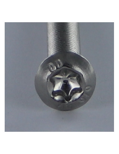1 x Metalliruuvit Pää Kupumainen T55 M12X16...