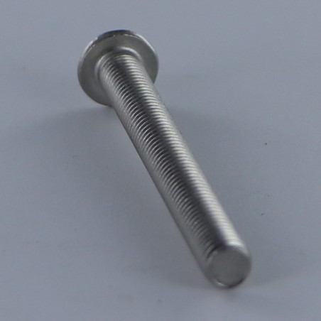 1 x Metalliruuvit Pää Kupumainen T55 M12X16 Kokonaan kierteytetty Ruostumaton teräs A2
