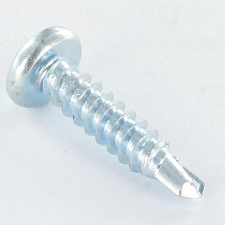 1 x Itseporautuva ruuvi Kupumainen lieriöpää 4.2X13 TORX T20 Sinkitty teräs