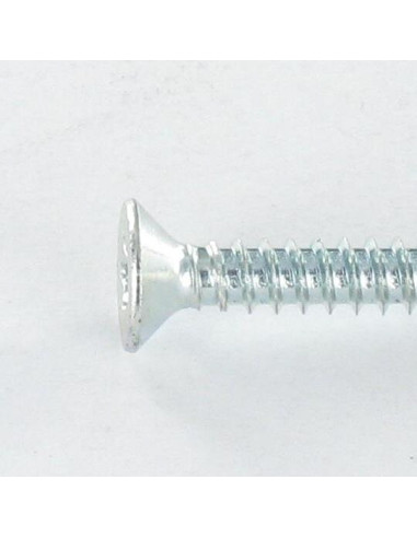 1 x Itseporautuva ruuvi uppokantainen TORX T20...