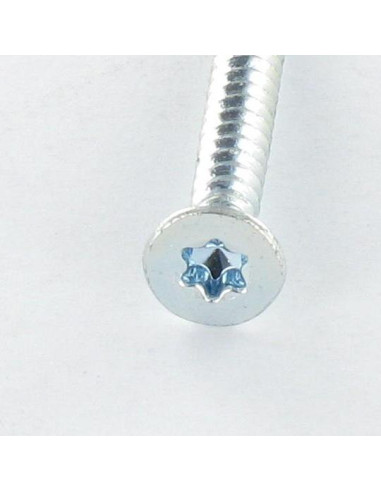 1 x Itseporautuva ruuvi uppokantainen TORX T20...