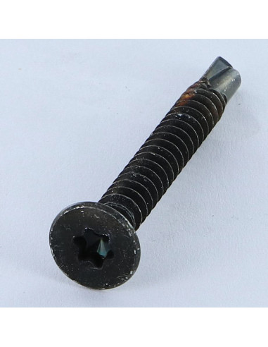 1 x Itseporautuva ruuvi uppokantainen TORX T25...