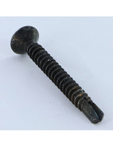 1 x Itseporautuva ruuvi uppokantainen TORX T25...