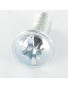 Ruuvi "Kupolipultti POZI ja halkaistu M4X35 Sinkitty teräs 2