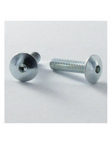 1 x Ruuvi "Kupolipultti Avain 4 HC4 M6X30...