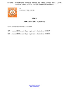 Pultti (myydään mutterin kanssa) Kuusiopää TH M20X100... 2