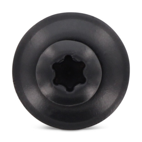 1 x Rakennusruuvi Kupumainen uppokanta TORX T20 Ruostumaton teräs A2 RAL 7016 antrasiitinharmaa 4,5X100RD.EPDM