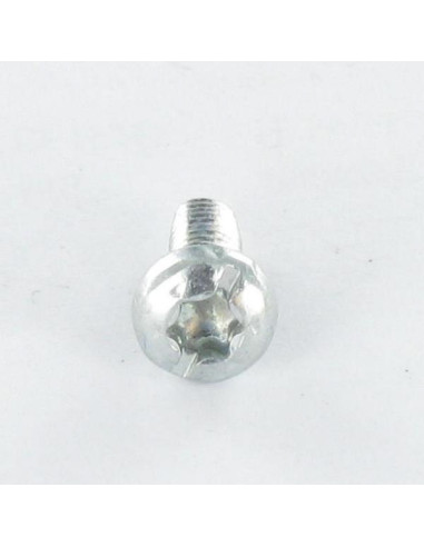 1 x Itsekierteittävä ruuvi Lieriöpää TORX...