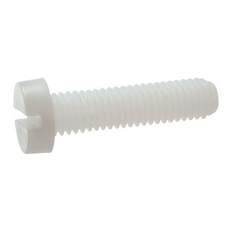 1 x Metalliruuvit Lieriöpää Halkaistu M2.5X5 Polyamidi 6.6 luonnollinen nylon mikroruuvi