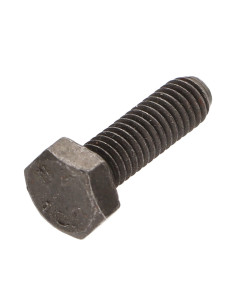 Metalliruuvit Kuusiopää TH M6X16 Luokka 10.9 Raakateräs