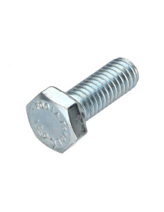 Metalliruuvit Kuusiopää TH M6X16 Luokka 10.9 Sinkitty teräs