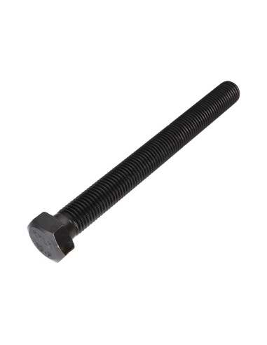 1 x Metalliruuvit Kuusiopää TH M20X220 Luokka...