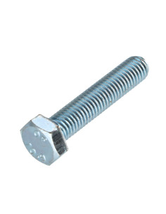 Metalliruuvit Kuusiopää TH M10X60 Luokka 10.9 Sinkitty teräs