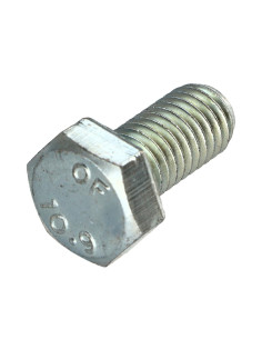 Metalliruuvit Kuusiopää TH M10X25 Luokka 10.9 Sinkitty teräs