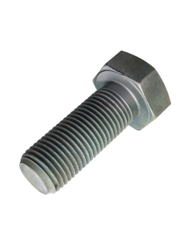 1 x Metalliruuvit Kuusiopää TH M39X100 Luokka...