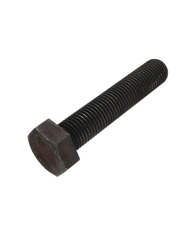 1 x Metalliruuvit Kuusiopää TH M30X150 Luokka...