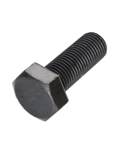 1 x Metalliruuvit Kuusiopää TH M22X60 Luokka...
