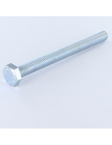 1 x Metalliruuvit Kuusiopää TH M12X100 Luokka...